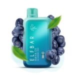 ELF BAR RAYA D1 – Blueberry Mint – 13000 Puffs