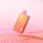 ELF BAR BC10000 –  Cherry Watermelon