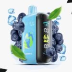 Elf Bar Raya D3 Blueberry Ice – 25000
