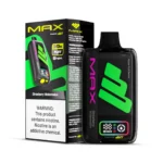 Nasty Max 30K Strawberry Watermelon