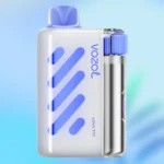 VOZOL Vista 40k puff – Love 777