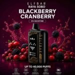 Peach Lychee Blackcurrant – Elf Bar Raya SOBO
