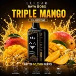 Elf Bar Raya SOBO – Triple Mango