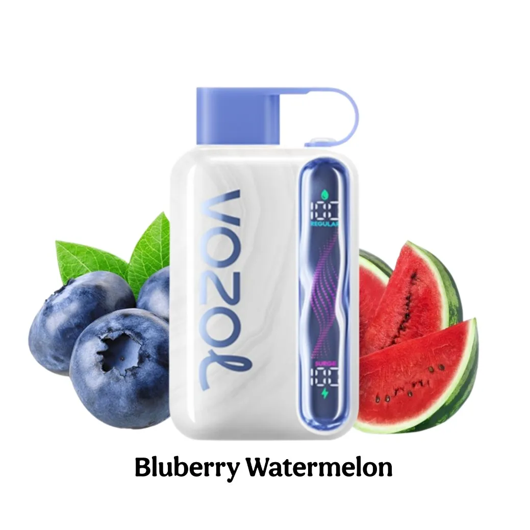 Blueberry Watermelon – VOZOL START – 40,000 Puffs